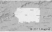 Gray 3D Map of Surry County