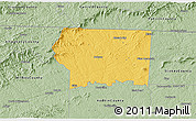 Savanna Style 3D Map of Surry County