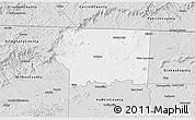 Silver Style 3D Map of Surry County