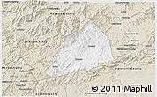 Classic Style 3D Map of Transylvania County