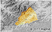 Physical 3D Map of Transylvania County, desaturated
