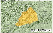 Savanna Style 3D Map of Transylvania County