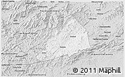 Silver Style 3D Map of Transylvania County