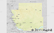 Physical 3D Map of Burleigh County, desaturated
