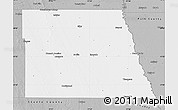 Gray Map of Grand Forks County