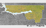 Satellite 3D Map of McLean County, desaturated