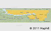 Savanna Style Panoramic Map of McLean County