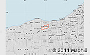 Silver Style Map of ZIP code 44070