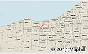 Classic Style 3D Map of ZIP code 44135