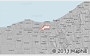 Gray 3D Map of ZIP code 44135