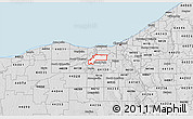 Silver Style 3D Map of ZIP code 44135
