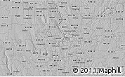 Gray 3D Map of ZIP code 44302