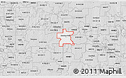 Silver Style 3D Map of ZIP code 44444