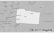Gray 3D Map of Greene County