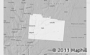 Gray Map of Greene County