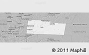 Gray Panoramic Map of Greene County