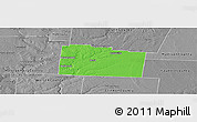 Political Panoramic Map of Greene County, desaturated