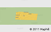 Savanna Style Panoramic Map of Greene County, single color outside