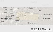 Shaded Relief Panoramic Map of Greene County, semi-desaturated