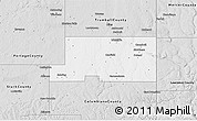 Silver Style 3D Map of Mahoning County