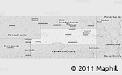 Silver Style Panoramic Map of Mahoning County