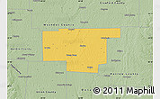 Savanna Style Map of Marion County