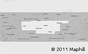Gray Panoramic Map of Marion County