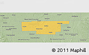 Savanna Style Panoramic Map of Marion County