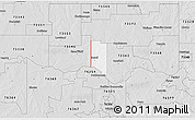 Silver Style 3D Map of ZIP code 73531