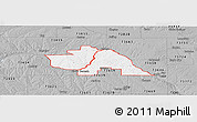 Gray Panoramic Map of ZIP code 73667