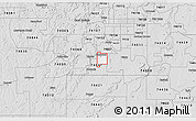 Silver Style 3D Map of ZIP code 74033