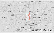 Silver Style 3D Map of ZIP code 74127