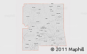 Silver Style 3D Map of ZIP codes starting with 743, single color outside