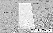 Gray 3D Map of Adair County