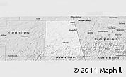 Silver Style Panoramic Map of Adair County