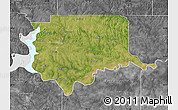 Satellite Map of Bryan County, desaturated