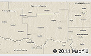 Shaded Relief 3D Map of Cotton County