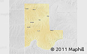 Physical 3D Map of Ellis County, lighten, desaturated