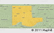 Savanna Style Panoramic Map of Ellis County