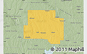 Savanna Style Map of Johnston County