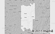 Gray Map of Seminole County