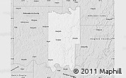 Silver Style Map of Seminole County