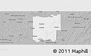 Gray Panoramic Map of Seminole County