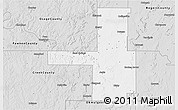 Silver Style 3D Map of Tulsa County