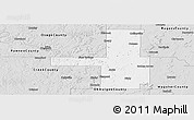 Silver Style Panoramic Map of Tulsa County