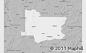 Gray Map of Wagoner County