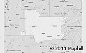 Silver Style Map of Wagoner County