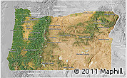 Satellite 3D Map of Oregon, lighten, desaturated
