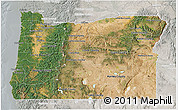 Satellite 3D Map of Oregon, lighten, semi-desaturated