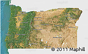 Satellite 3D Map of Oregon, single color outside